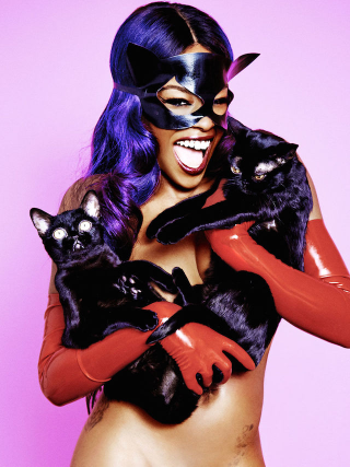 Illustration for article titled Azealia Banks's Bonkers Playboy Interview: Sex & a Stunned Kitty
